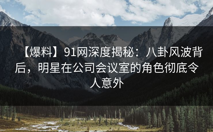 【爆料】91网深度揭秘：八卦风波背后，明星在公司会议室的角色彻底令人意外