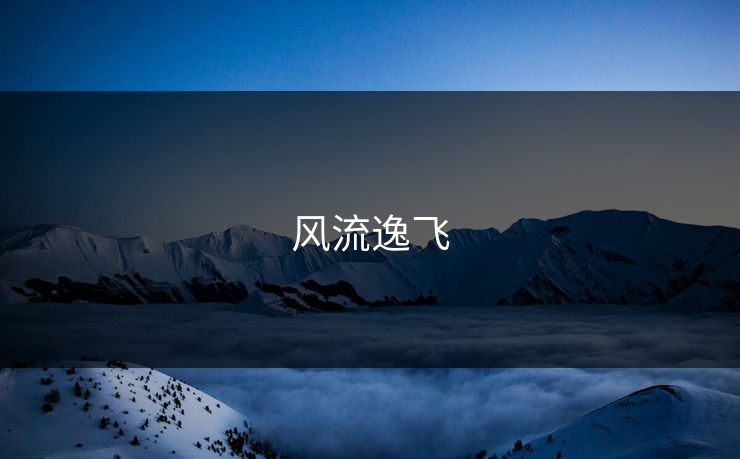 风流逸飞