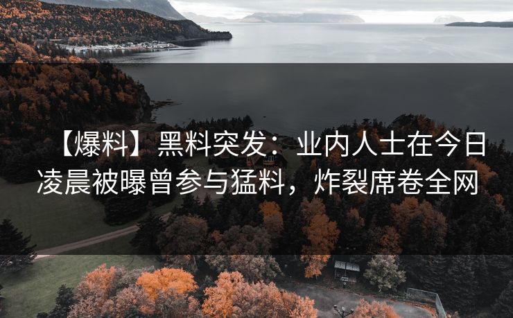 【爆料】黑料突发：业内人士在今日凌晨被曝曾参与猛料，炸裂席卷全网