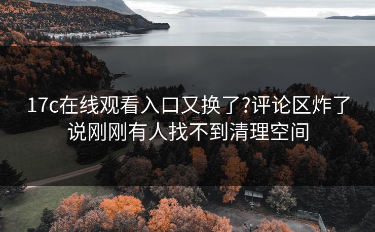 17c在线观看入口又换了?评论区炸了说刚刚有人找不到清理空间